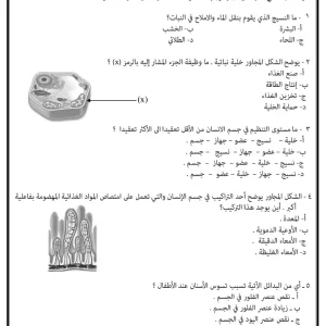 نماذج اختبارات العلوم الصف الثامن الفصل الأول