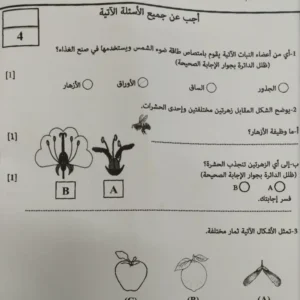 اختبار علوم صف سابع الفصل الاول