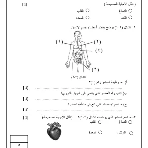 اختبار علوم صف سادس الفصل الاول