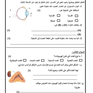 اختبار احياء للصف التاسع الفصل الاول