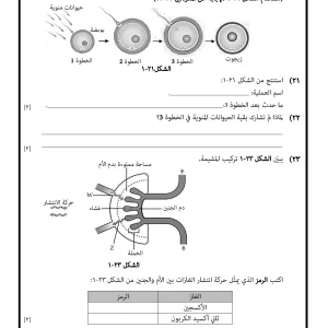اختبار نهائي أحياء للصف العاشر الفصل الأول