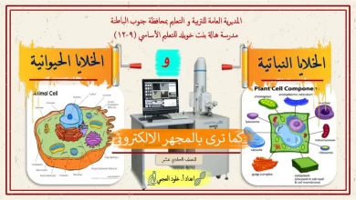 درس الخلايا النباتية والخلايا الحيوانية للصف الحادي عشر