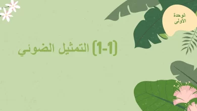 ملخص درس التمثيل الضوئي مادة العلوم الصف الثامن