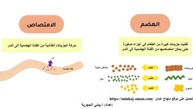 ملخص وحدة الغذاء مادة العلوم الصف الثامن الفصل الأول