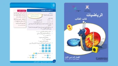 درس الأعداد الأولية للصف السادس