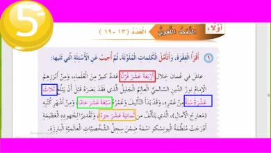 النمط اللغوي العدد 19-13 درس قصة ورقة للصف الثالث