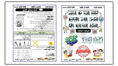 ملخص الوحدة الثالثة الضوء للصف الثامن علوم الفصل الأول