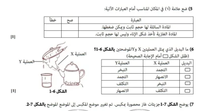 نموذج اختبار العلوم للصف السابع الفصل الأول