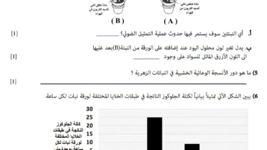 نموذج امتحان العلوم للصف الثامن الفصل الأول