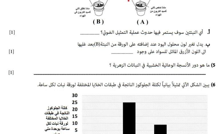 نموذج امتحان العلوم للصف الثامن الفصل الأول