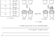 نموذج امتحان العلوم للصف الخامس الفصل الدراسي الأول
