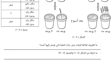 نموذج امتحان العلوم للصف الخامس الفصل الدراسي الأول