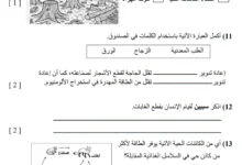 نموذج امتحان العلوم للصف السادس الفصل الأول