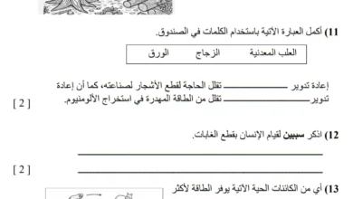 نموذج امتحان العلوم للصف السادس الفصل الأول