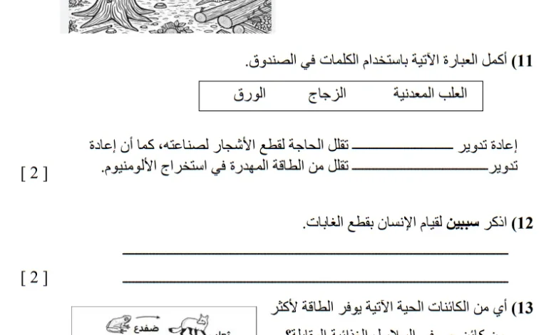 نموذج امتحان العلوم للصف السادس الفصل الأول