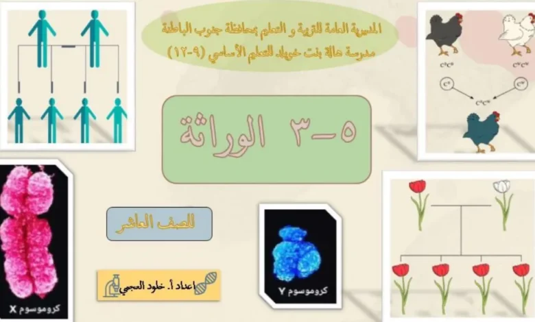 ملخص درس الوراثة للصف العاشر الفصل الثاني