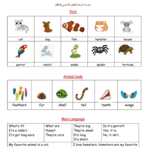 اختبارات قصيرة مادة الإنجليزية للصف الثاني الفصل الثاني