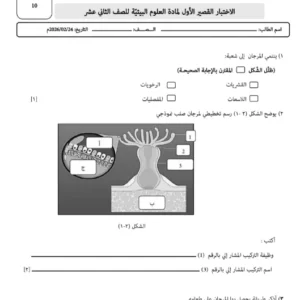الاختبار القصير الأول لمادة العلوم البيئية للصف الثاني عشر الفصل الثاني 2025-2026م