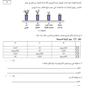 الاختبار النهائي لمادة الأحياء للصف التاسع الفصل الدراسي الثاني 2023-2024