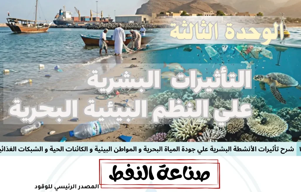 ملخص الوحدة الثالثة التأثيرات البشرية على النظم البيئية البحرية علوم بيئية ثاني عشر فصل ثاني