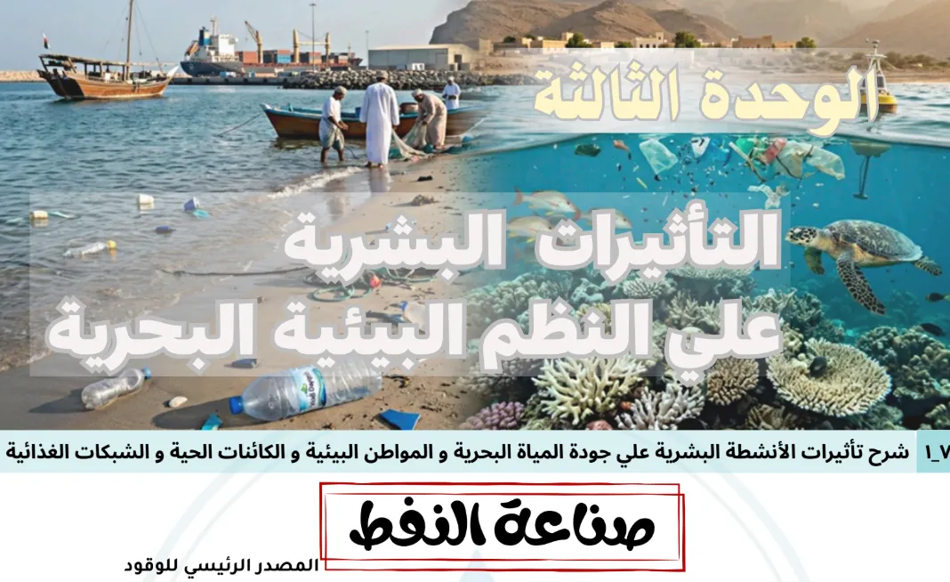 ملخص الوحدة الثالثة التأثيرات البشرية على النظم البيئية البحرية علوم بيئية ثاني عشر فصل ثاني