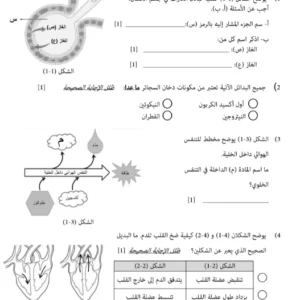 نماذج اختبارات نهائية العلوم للصف الثامن الفصل الثاني – المناهج العمانية