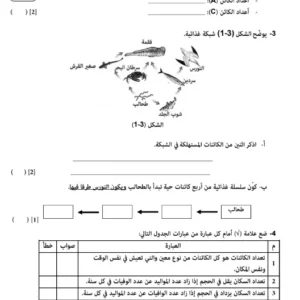 نماذج اختبارات نهائية العلوم للصف السابع الفصل الثاني – المناهج العمانية الحديثة