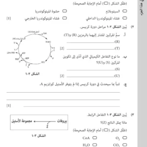 اختبار تجريبي الأحياء للصف الثاني عشر الفصل الثاني