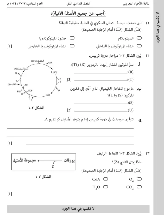 اختبار تجريبي الأحياء للصف الثاني عشر الفصل الثاني