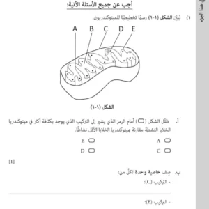 اختبار نهائي الأحياء للصف الثاني عشر (دبلوم التعليم العام) الفصل الثاني