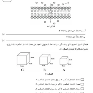 امتحانات نهائية أحياء للصف الحادي عشر الفصل الدراسي الثاني 2024/2025