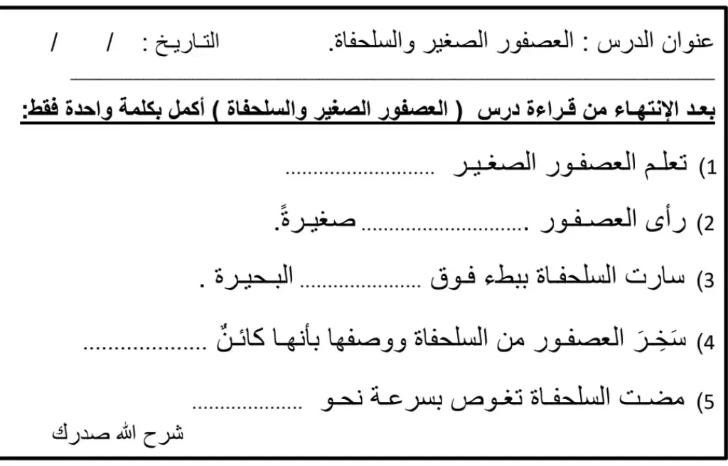 تدريبات درس العصفور الصغير والسلحفاة مادة اللغة العربية للصف الأول الفصل الثاني