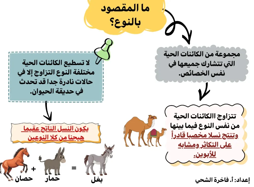 ملخص الوحدة العاشرة التباين والتصنيف مادة العلوم للصف السابع الفصل الثاني