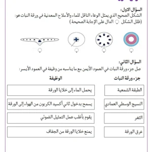 تجميع أسئلة الاختبار القصير الأول لمادة العلوم للصف الثامن الفصل الأول